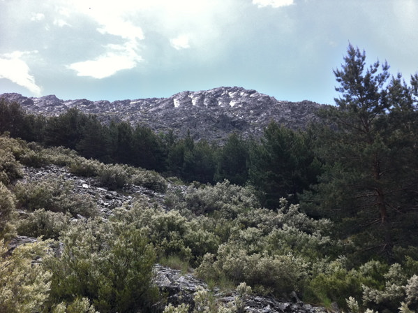 Cordal del Centenera